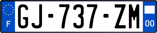 GJ-737-ZM