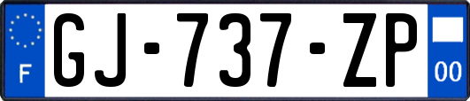 GJ-737-ZP