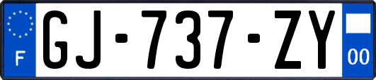 GJ-737-ZY