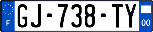 GJ-738-TY