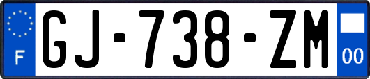 GJ-738-ZM