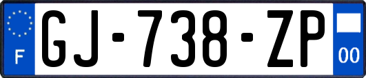GJ-738-ZP