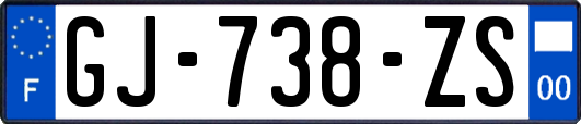 GJ-738-ZS