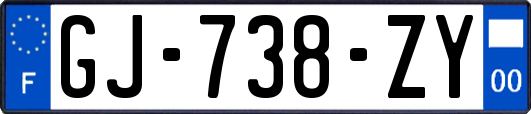 GJ-738-ZY