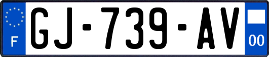 GJ-739-AV