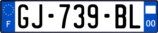 GJ-739-BL