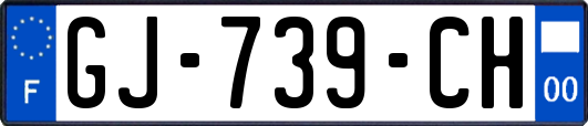 GJ-739-CH