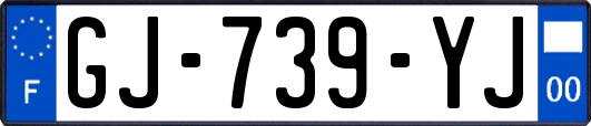 GJ-739-YJ