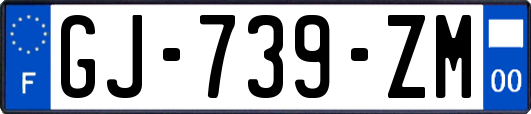 GJ-739-ZM
