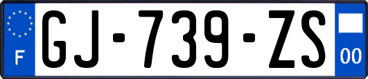GJ-739-ZS