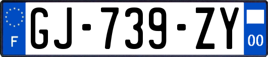 GJ-739-ZY
