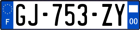 GJ-753-ZY