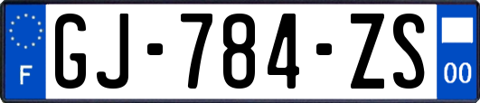 GJ-784-ZS