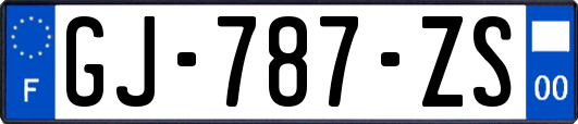 GJ-787-ZS