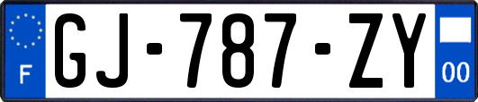 GJ-787-ZY