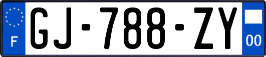GJ-788-ZY