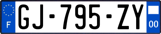 GJ-795-ZY