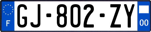 GJ-802-ZY
