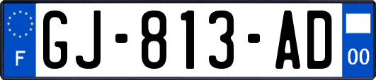 GJ-813-AD