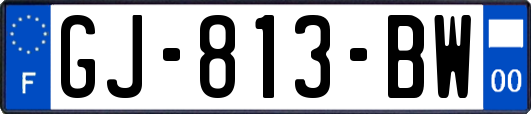 GJ-813-BW