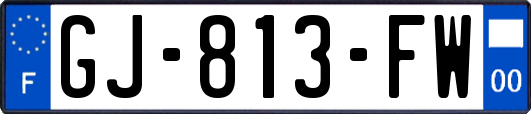 GJ-813-FW