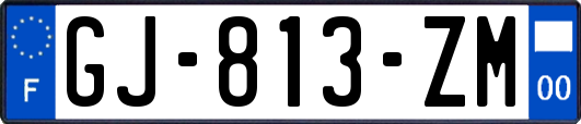 GJ-813-ZM
