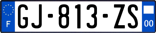 GJ-813-ZS