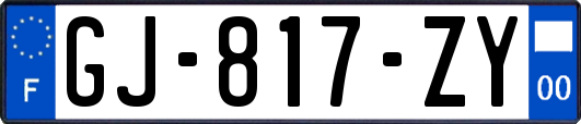 GJ-817-ZY