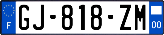 GJ-818-ZM