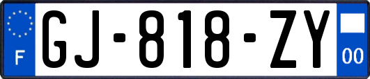 GJ-818-ZY