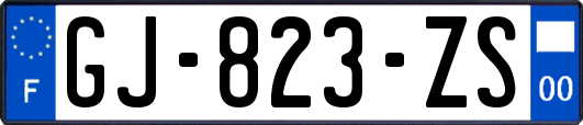 GJ-823-ZS
