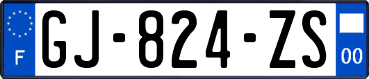 GJ-824-ZS