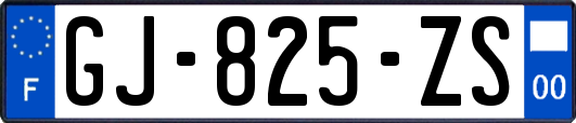 GJ-825-ZS