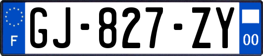 GJ-827-ZY