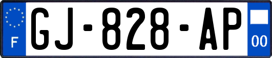 GJ-828-AP