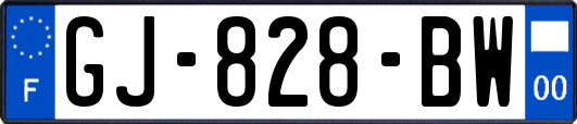 GJ-828-BW