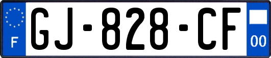 GJ-828-CF