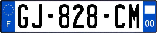 GJ-828-CM