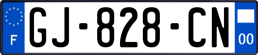 GJ-828-CN