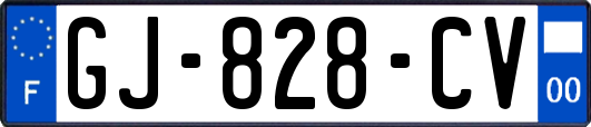 GJ-828-CV