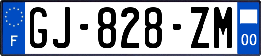 GJ-828-ZM