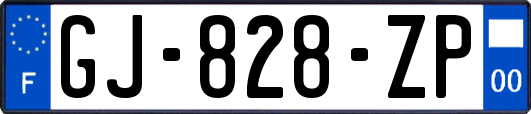 GJ-828-ZP