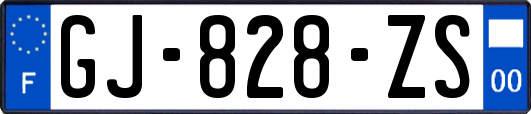 GJ-828-ZS