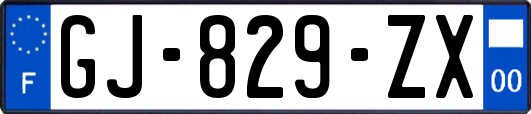 GJ-829-ZX