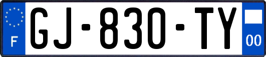 GJ-830-TY