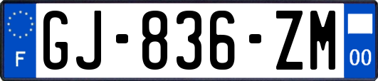 GJ-836-ZM