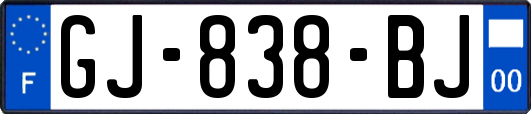 GJ-838-BJ