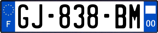 GJ-838-BM