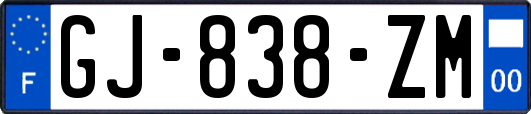 GJ-838-ZM
