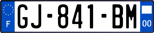 GJ-841-BM